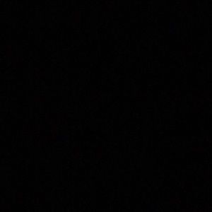 Meet your Posher, Lila